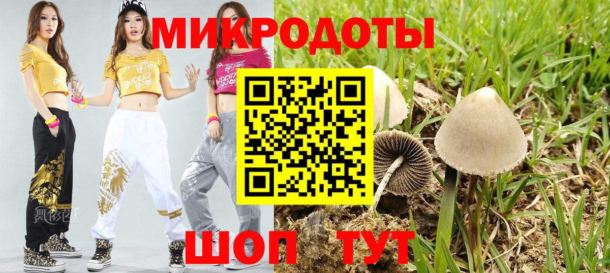 Сергиев Посад  Галлюциногенные грибы Cubensis  Вход с VPN 